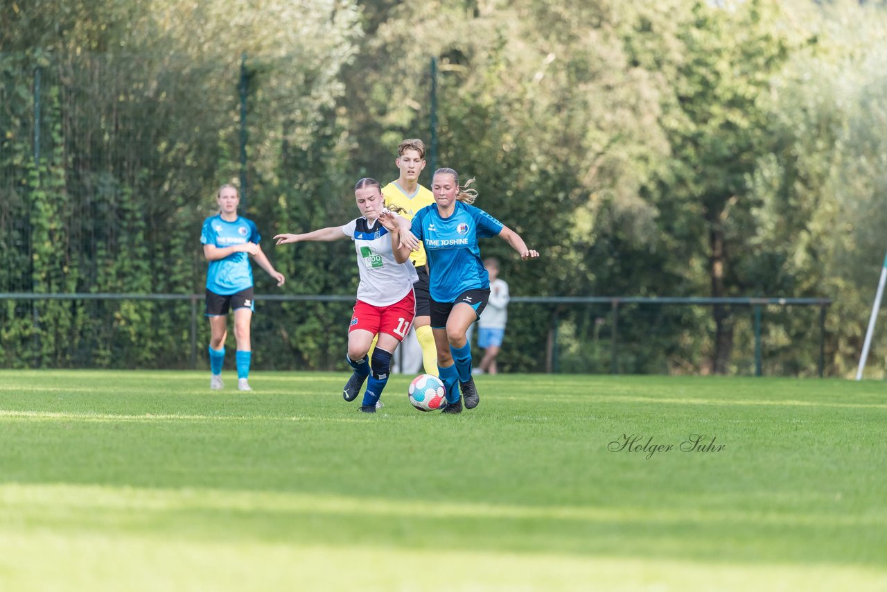 Bild 229 - wBJ VfL Pinneberg - Hamburger SV 2 : Ergebnis: 1:3